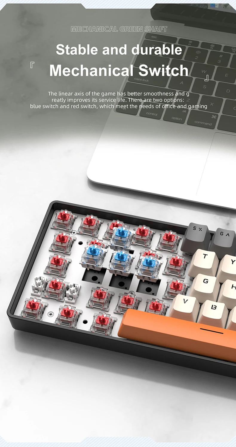 APAYADO K61 Mini clavier mechanique RGB